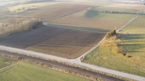 Rammingen Bauernhöfe, Landwirtschaft, Rammingen Forstwirtschaft