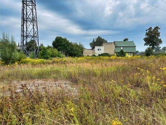 Seitenansicht von der Zufahrt