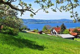 39865093-af4a-4dbd-88d2-d77c92c059c4