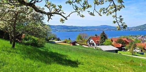 Weyregg am Attersee Grundstücke, Weyregg am Attersee Grundstück kaufen