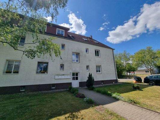 photo_15_2025-05-16_14-14-09