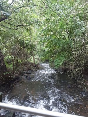 Brücke über den Urselbach