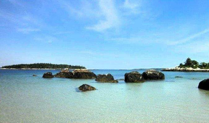 Sandstrand Umgebung bei Ebbe und Jodpflanzen