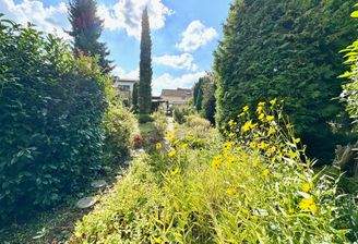 T20 Hausansicht vom Garten.jpg