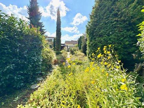 Kriftel Häuser, Kriftel Haus kaufen