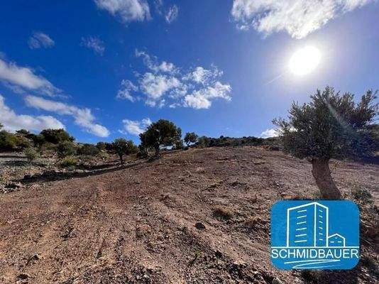 Kreta, Triopetra: Grundstück mit herrlichem Meerblick zu verkaufen