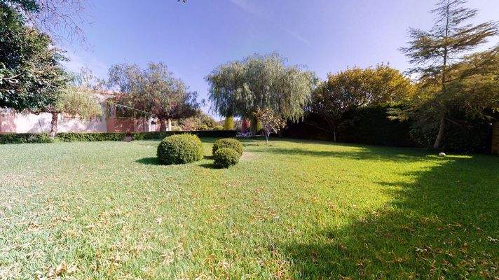 großzügige Grünflächen