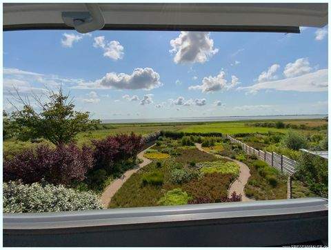 Husum Häuser, Husum Haus kaufen