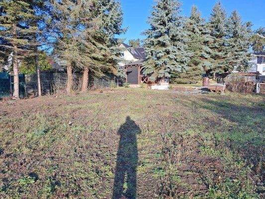 hintere Grundstücksgrenze, links