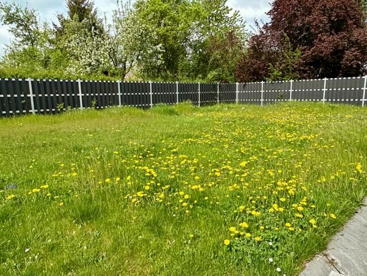 Garten in Süd-Lage