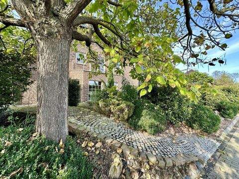 Euskirchen Büros, Büroräume, Büroflächen 