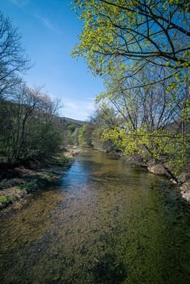 IMG_4188