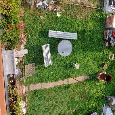 3 Sonniger Garten.jpg