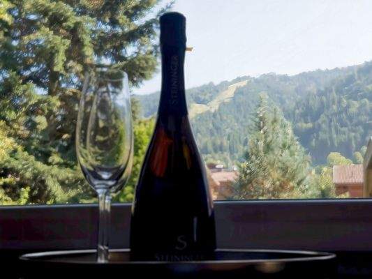 Bereit zum Anstoßen auf Ihre neue Wohnung