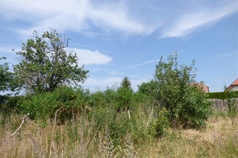 Kloster Lehnin Grundstücke, Kloster Lehnin Grundstück kaufen