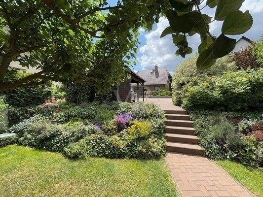 Vorgarten / Zugang Carport