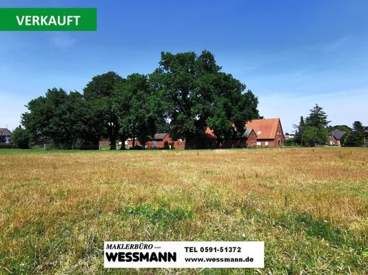 Hofstelle Freren