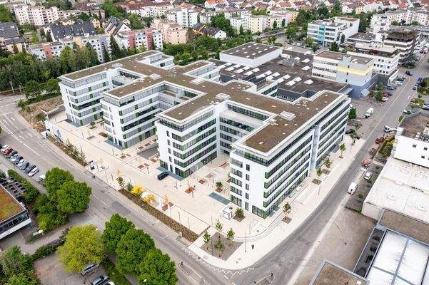 Copyright by Taktics 