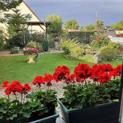 Blick aus Schlafzimmer