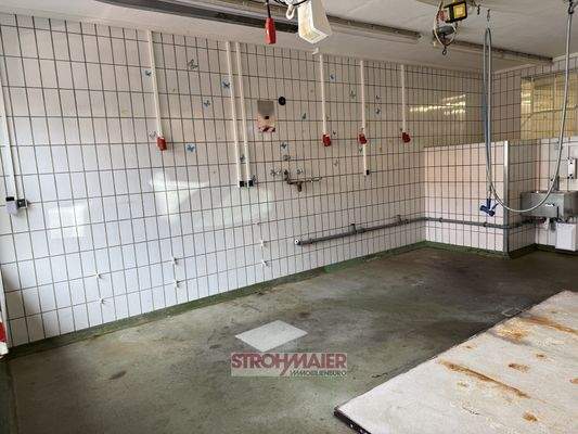 20250506_132828089_iOS