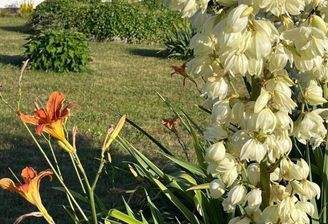 Blick auf das Zweifamilienhaus
