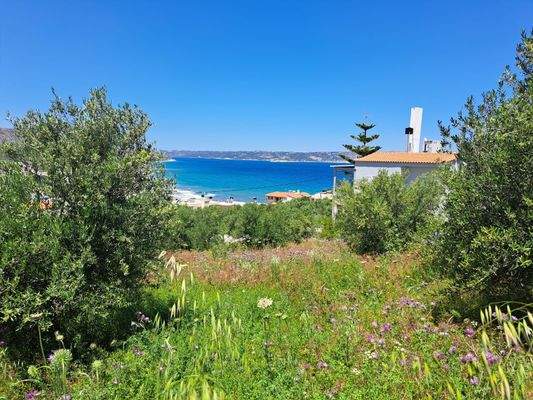 WhatsApp Image 2026-03-16 at 13.41.17 (1).jpeg