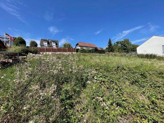 Auf dem Grundstück