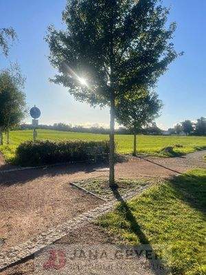 gegenüberliegendes Feld