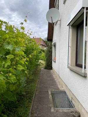 Seitenansicht
