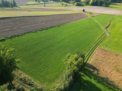 Haarbach Bauernhöfe, Landwirtschaft, Haarbach Forstwirtschaft