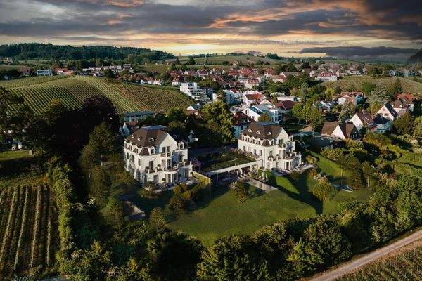 Perspektive West mit Bäumen.jpg