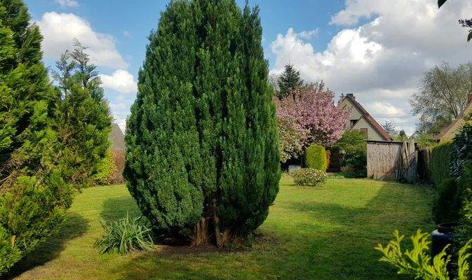 Grundstück/Garten