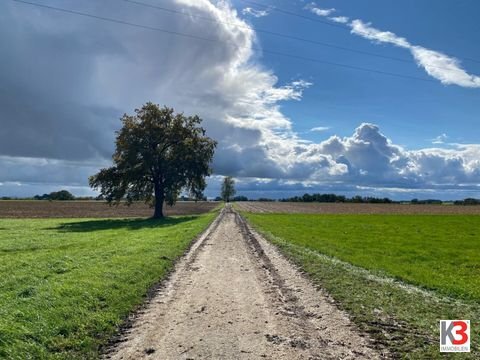 Obernberg am Inn Bauernhöfe, Landwirtschaft, Obernberg am Inn Forstwirtschaft