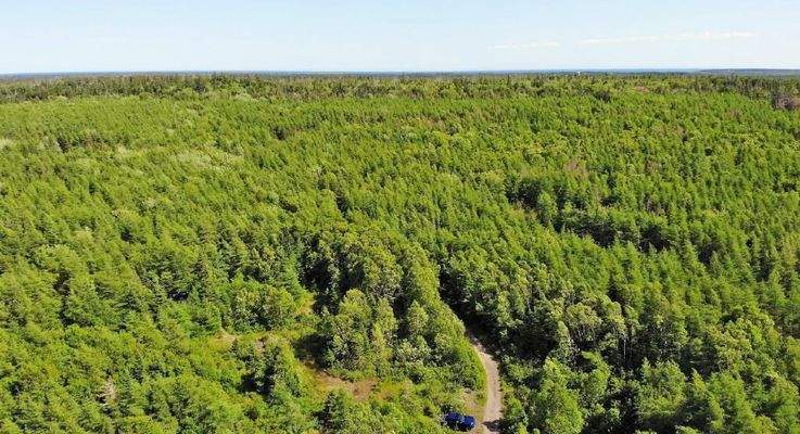 Cape Breton - Ideal für´s Kapital - Einzigartiges 