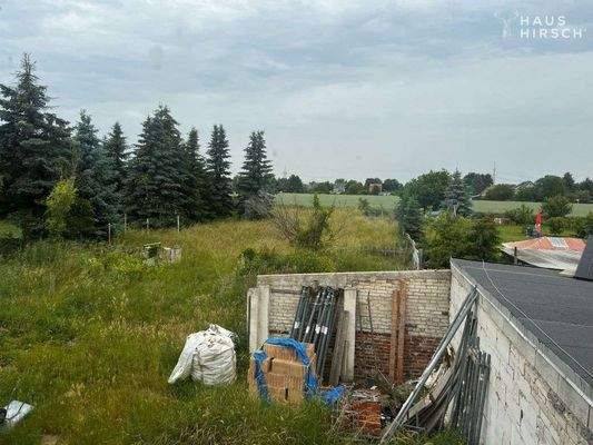 Blick_in_Gartenbereich