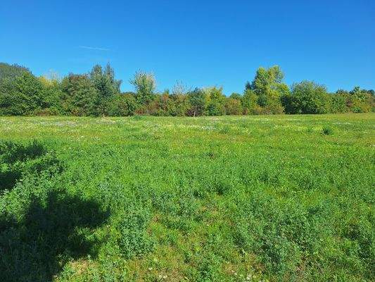 Blick über das Grundstück