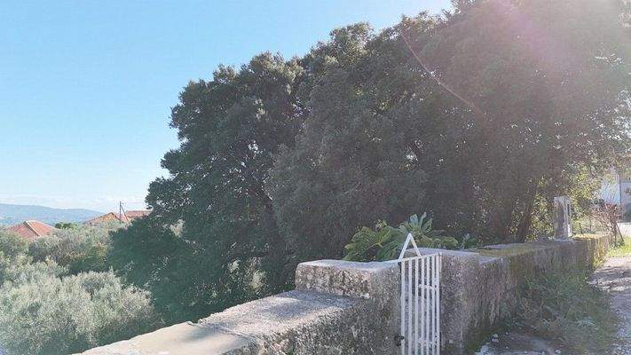 dji_fly_20250131_104458_0013_1738313128688_photo-C