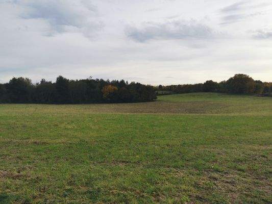 Idyllische Umgebung um die Hofanlage.
Hier: Letzes Haus vor der Trave/ Ostsee