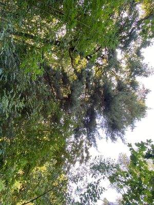 Schlosspark (19).JPG