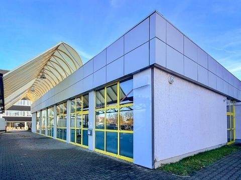 Dresden Halle, Dresden Hallenfläche