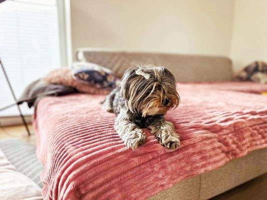 Gemütlicher Ruhebereich