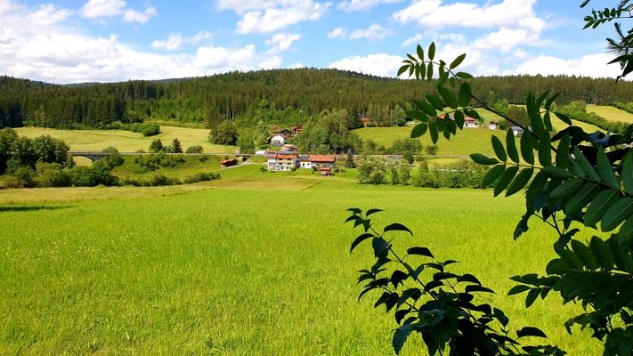 Ausblick.jpg