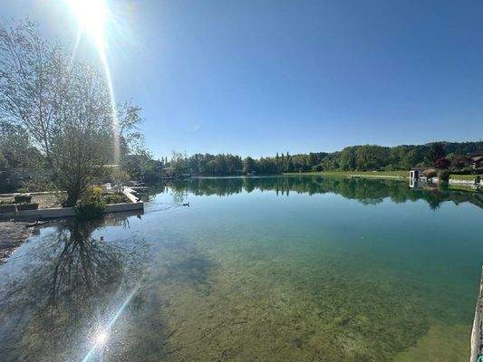 B16d1196-3390-4dcd-8