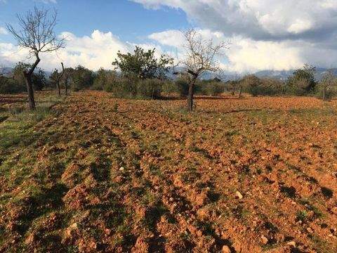 Marratxí Grundstücke, Marratxí Grundstück kaufen