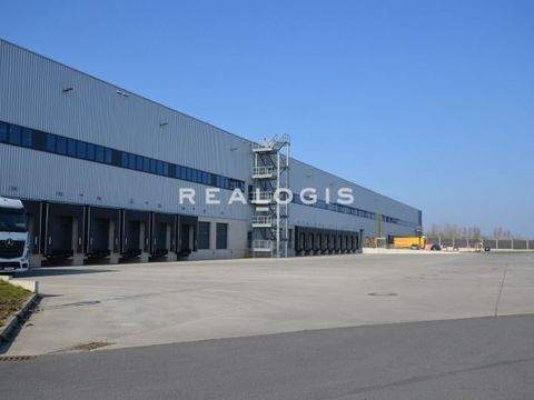 Schönefeld Halle, Schönefeld Hallenfläche