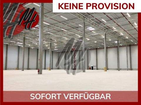 Duisburg Halle, Duisburg Hallenfläche