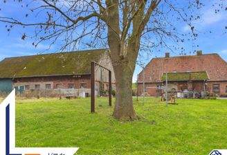 Kossau - Lütt Immobilien (14).png