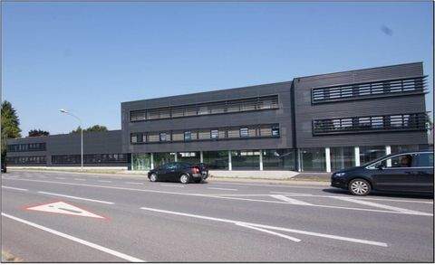 Hard Halle, Hard Hallenfläche