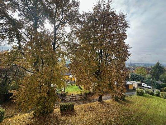 Aussicht vom Balkon