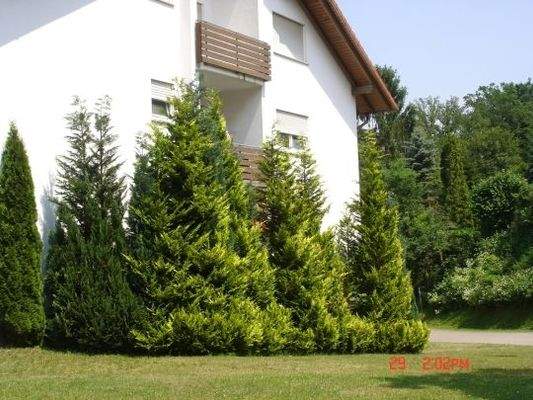 Trippstadter Str. 33, Stelzenb